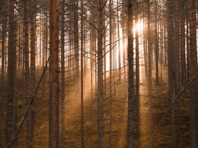 Soft morning light shining through big studio windows